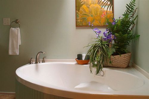Blisswood Bed And Breakfast Ranch Cat Spring Ngoại thất bức ảnh